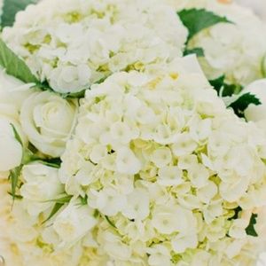 Meet your Posher, Alysia